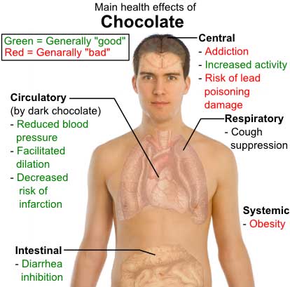  the positive and negative effects of cocoa in the human body.