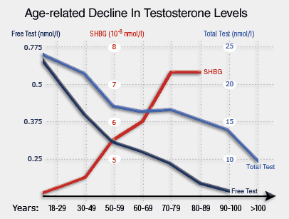 Testosterone Declines with Age